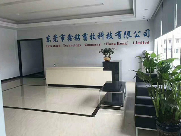 公司办公室装修